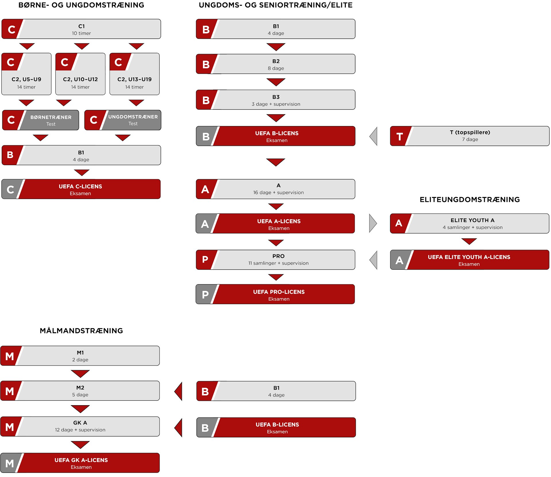 Træneruddannelsesgrafik Til Web Dec2019 Træneruddannelsesgrafik Til Web Dec2019